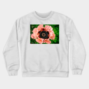 Poppy 3 Crewneck Sweatshirt